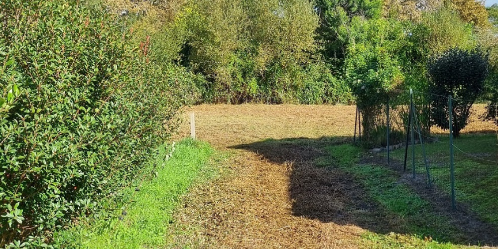 terrain à MEZOS (40170)