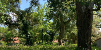 terrain à MOLIETS ET MAA (40660)