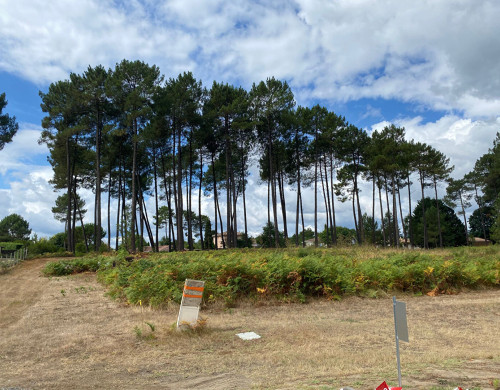 terrain  RION DES LANDES