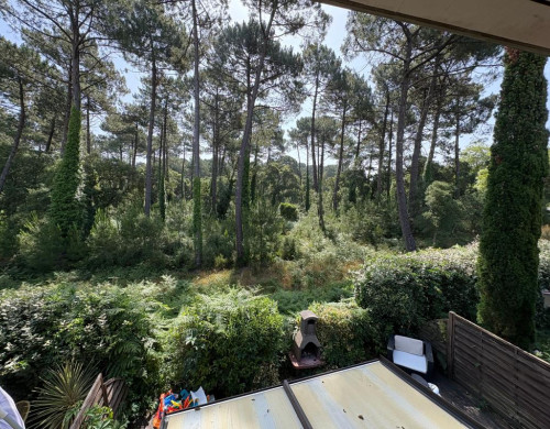 appartement  SEIGNOSSE