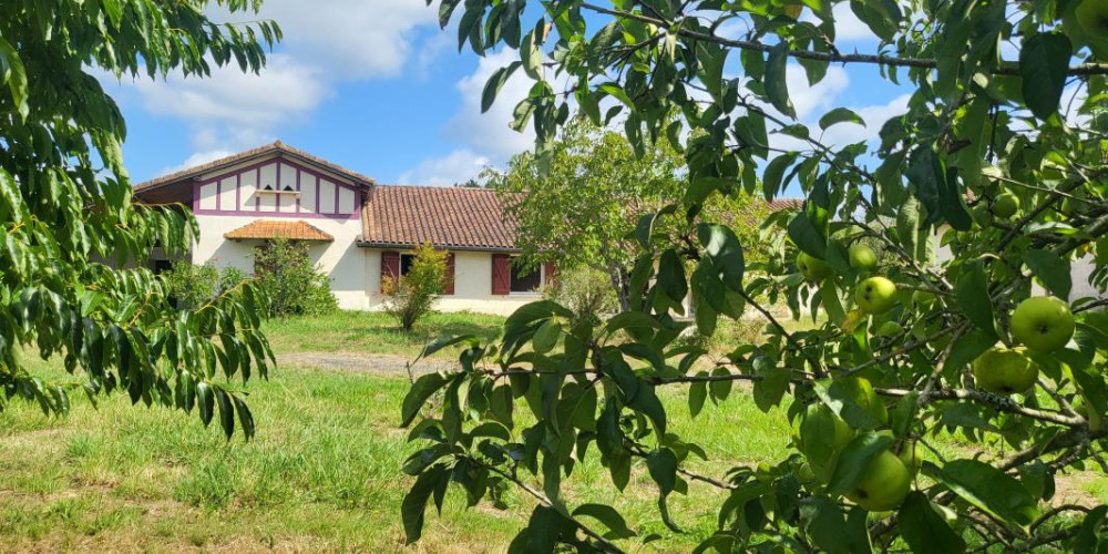 maison à GRENADE SUR L ADOUR (40270)