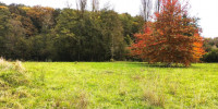 terrain à STE COLOMBE (40700)