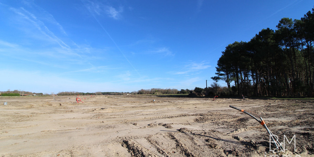 terrain à TOSSE (40230)