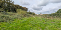 terrain à MONT DE MARSAN (40000)