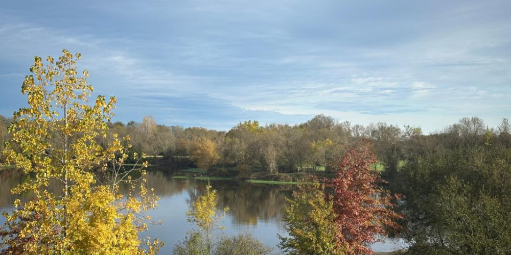 appartement à DAX (40100)
