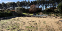 terrain à TOSSE (40230)