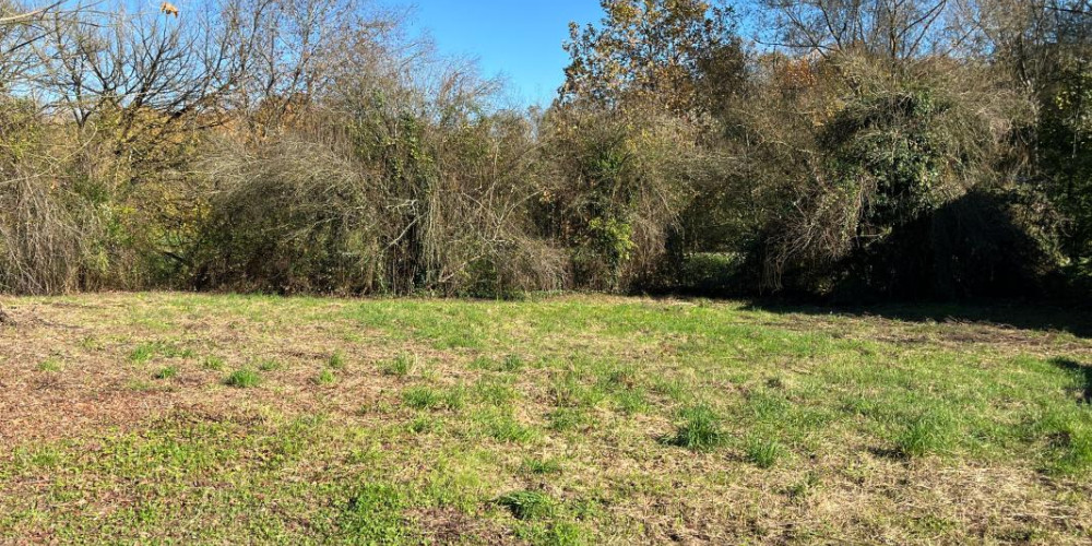 terrain à TARTAS (40400)