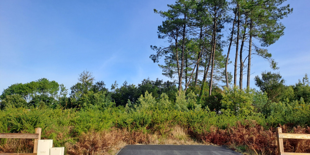 terrain à MOLIETS ET MAA (40660)