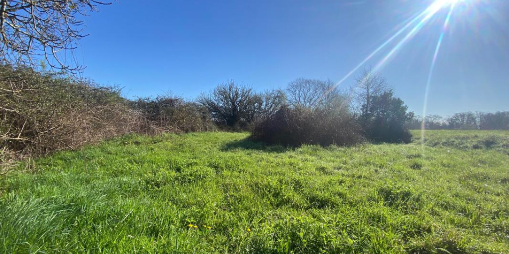 maison à POMAREZ (40360)