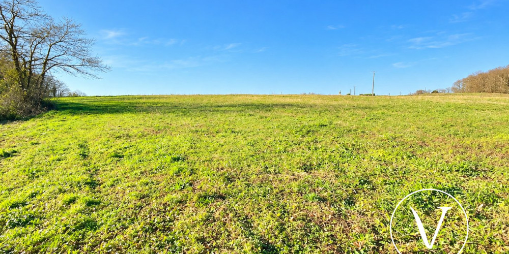 terrain à MONSEGUR (40700)