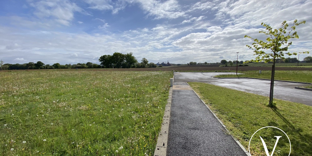 terrain à MIRAMONT SENSACQ (40320)