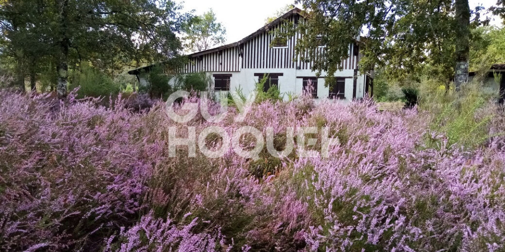 maison à RION DES LANDES (40370)