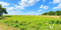 terrain à MONSEGUR (40700)
