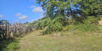 terrain à PARENTIS EN BORN (40160)