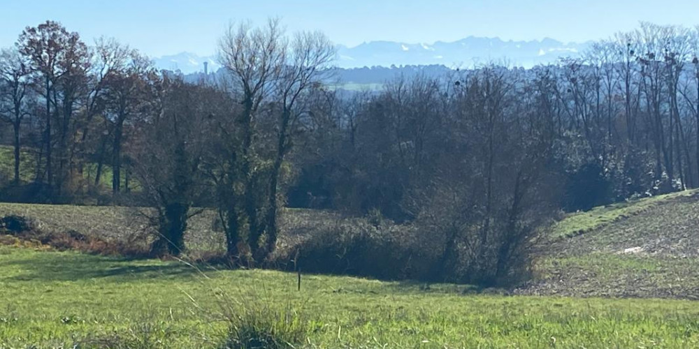 terrain à GAUJACQ (40330)