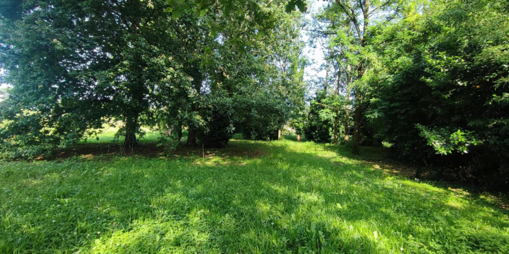 terrain à PEYREHORADE (40300)
