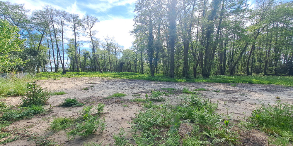 terrain à AZUR (40140)