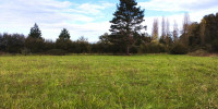 terrain à STE COLOMBE (40700)