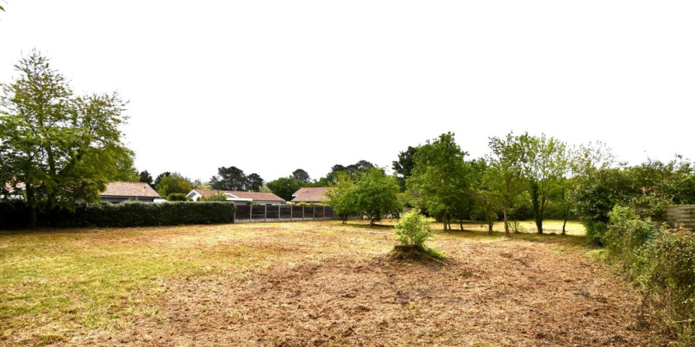 terrain à TOSSE (40230)