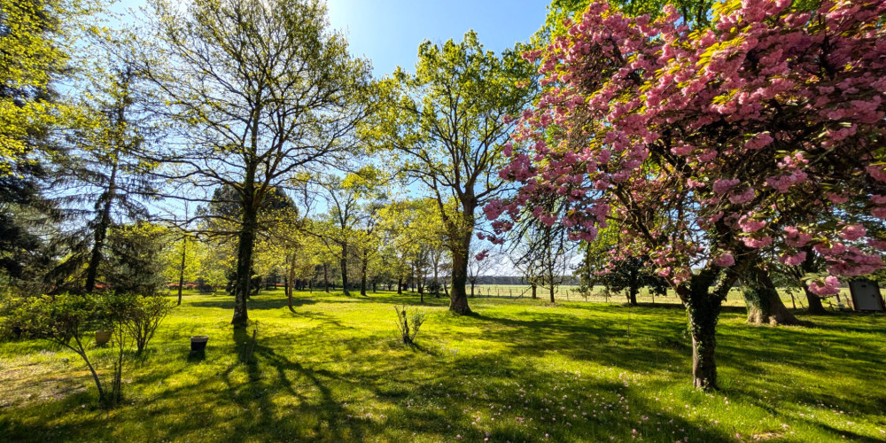 maison à MONT DE MARSAN (40000)