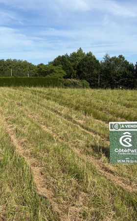 Terrain  BRASSEMPOUY