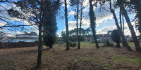 terrain à MOLIETS ET MAA (40660)