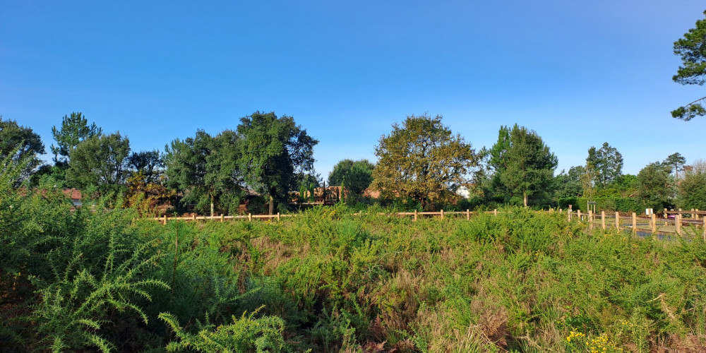 terrain à MOLIETS ET MAA (40660)