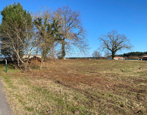 terrain  RION DES LANDES