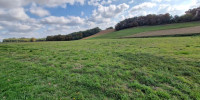 terrain à ST AUBIN (40250)