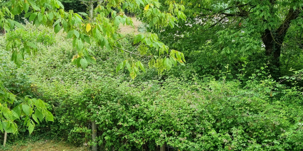 maison à MORCENX (40110)