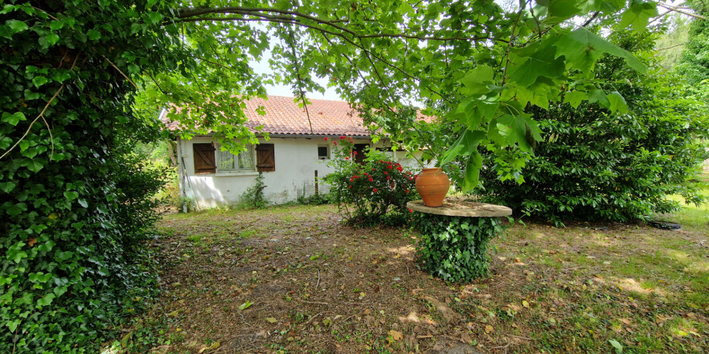 maison à MESSANGES (40660)