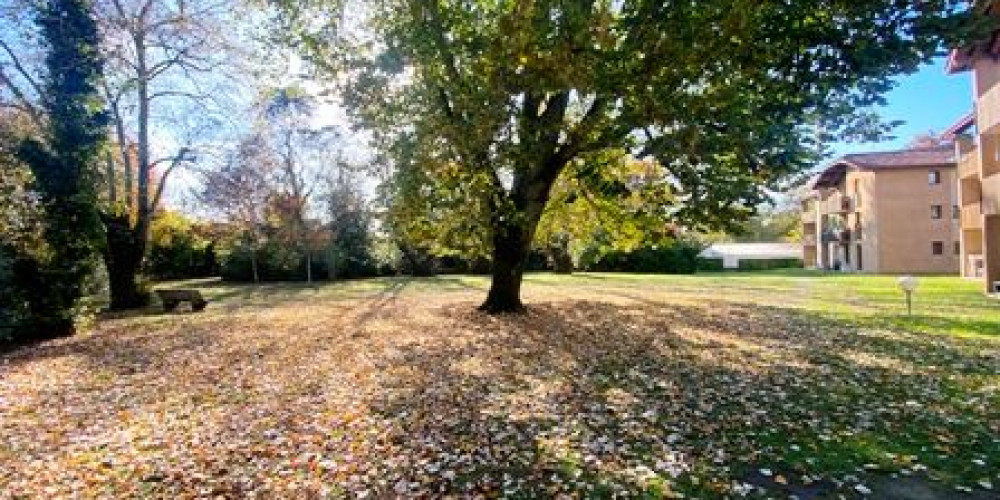 appartement à MONT DE MARSAN (40000)