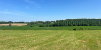 terrain à HAGETMAU (40700)