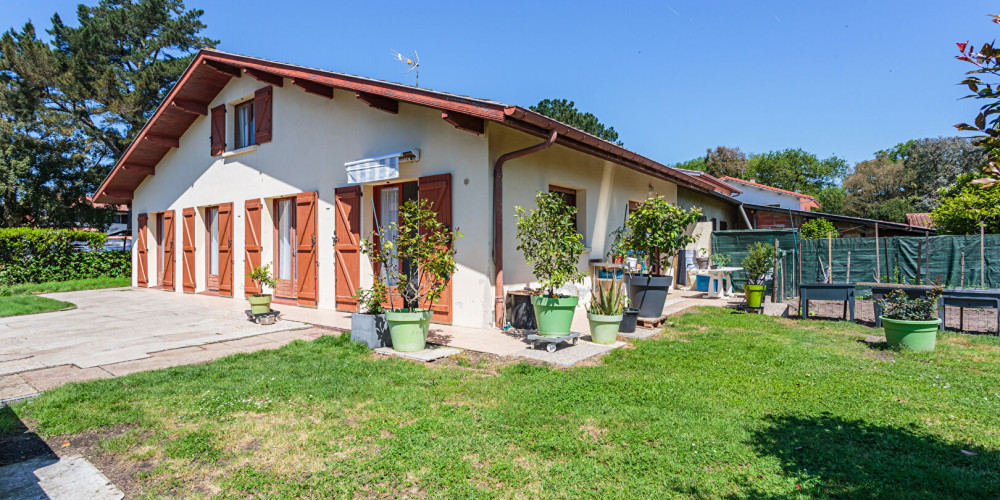 maison à SEIGNOSSE (40510)