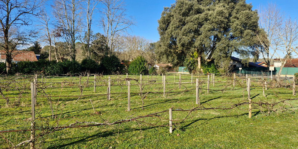 terrain à ST MICHEL ESCALUS (40550)