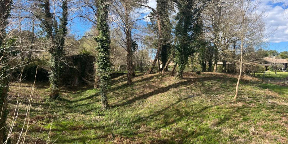 terrain à SAUBION (40230)