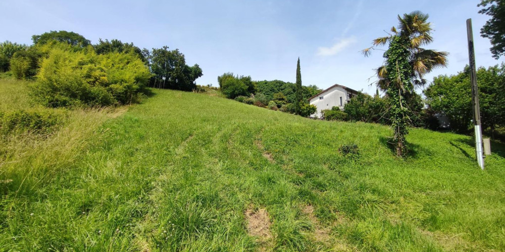 terrain à LABATUT (40300)