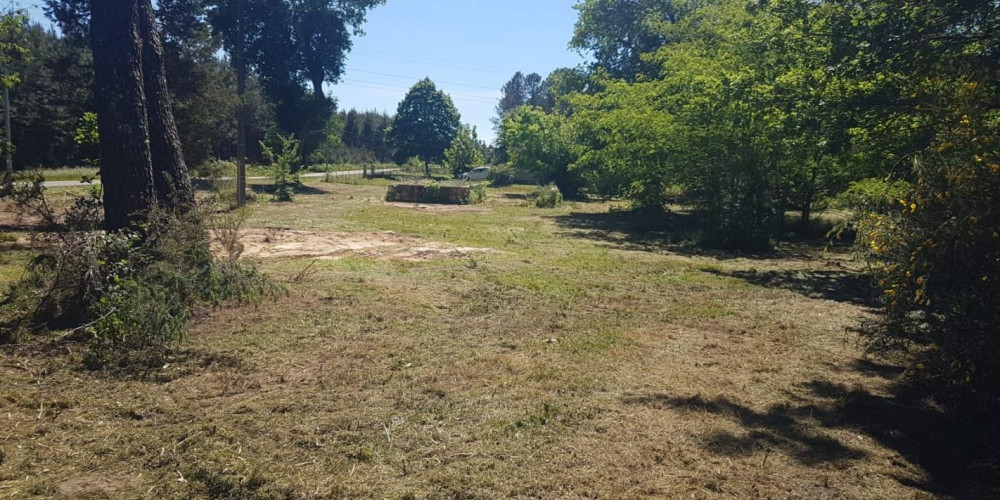 terrain à ST PERDON (40090)