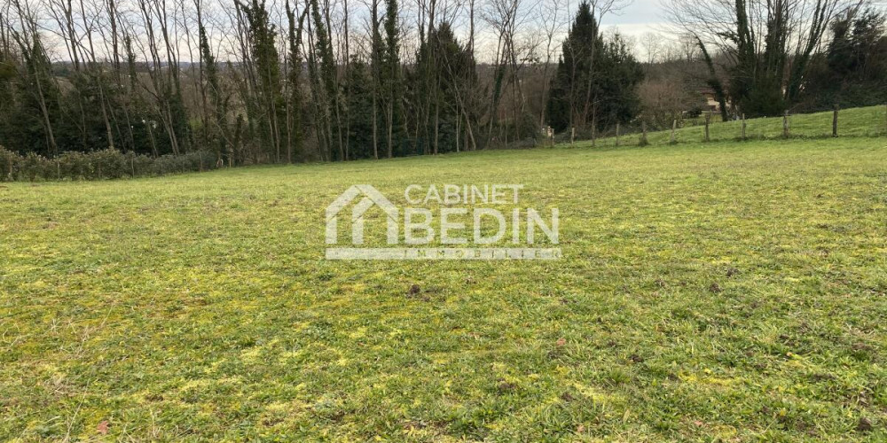 terrain à MONTFORT EN CHALOSSE (40380)