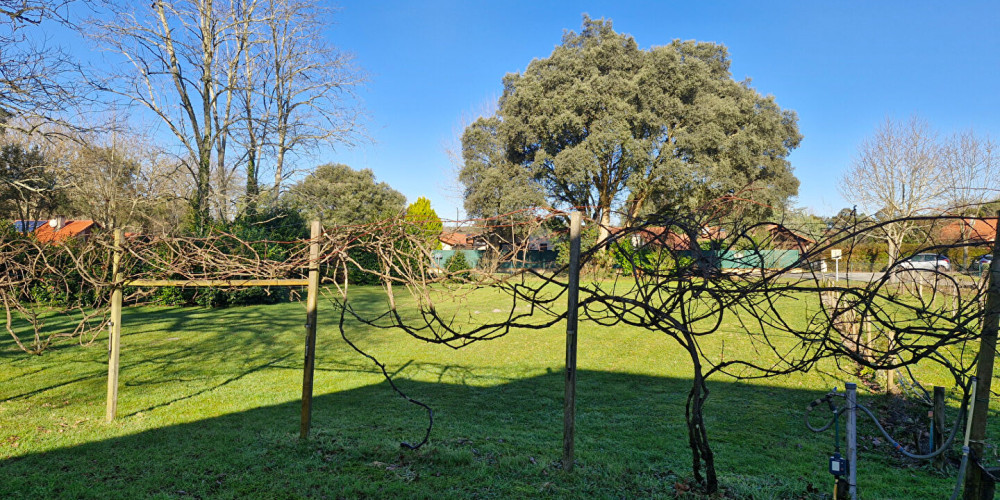terrain à ST MICHEL ESCALUS (40550)