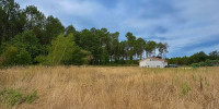 terrain à RION DES LANDES (40370)