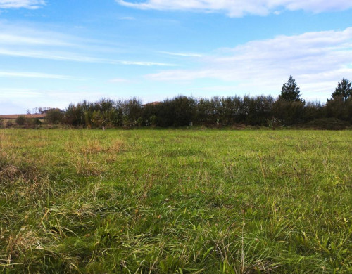 terrain  STE COLOMBE