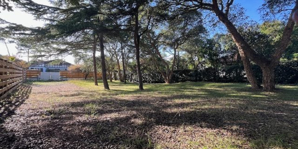 terrain à LABENNE (40530)