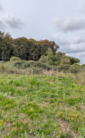 Terrain  MONT DE MARSAN