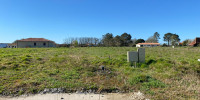 terrain à CARCARES STE CROIX (40400)
