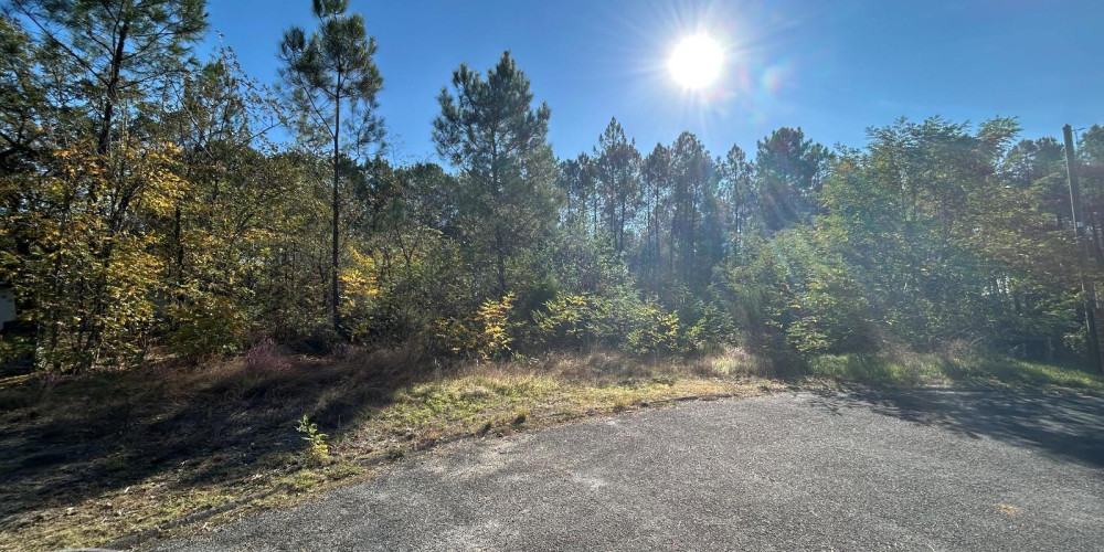 terrain à RETJONS (40120)