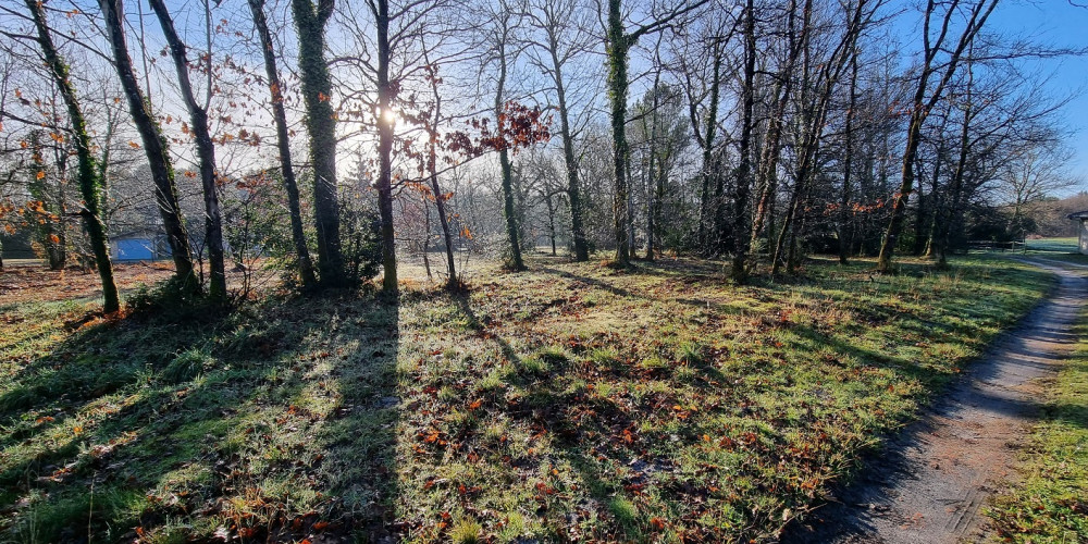 terrain à MEZOS (40170)