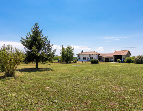 maison  AIRE SUR L ADOUR