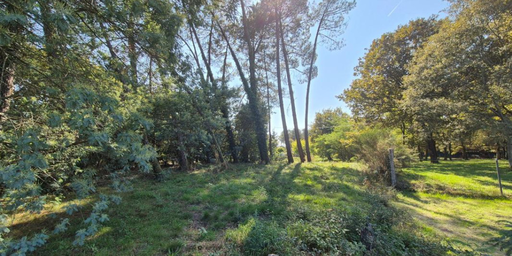 terrain à ST PERDON (40090)