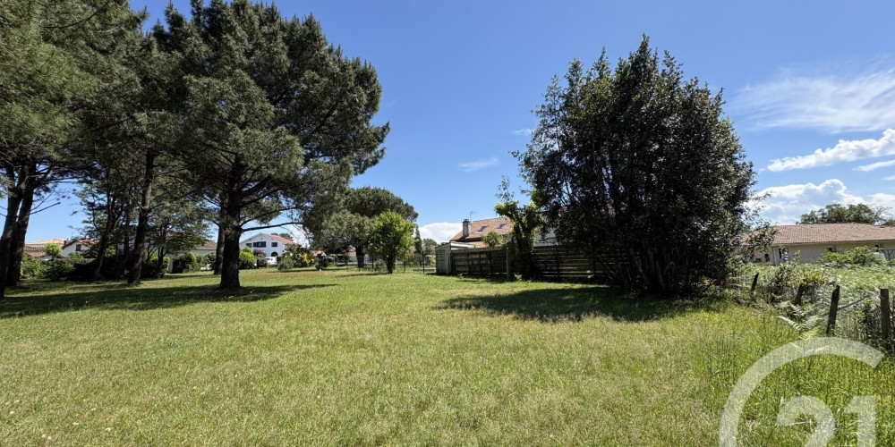 terrain à ONDRES (40440)